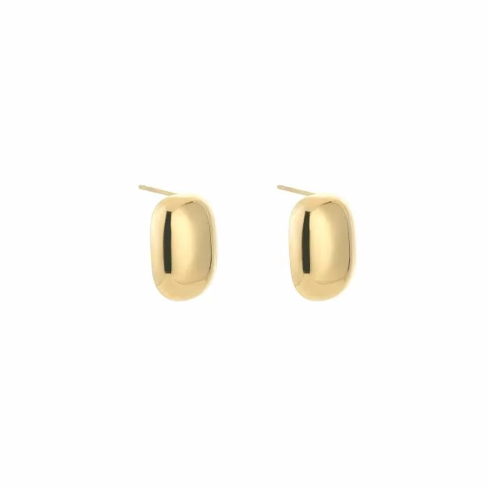 Oorbellen chique goud