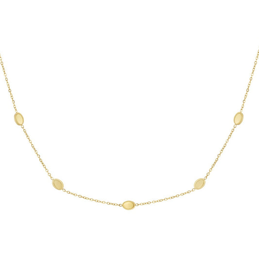 Fine coin necklace goud