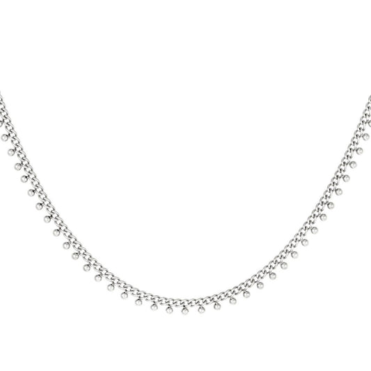 Coin necklace zilver