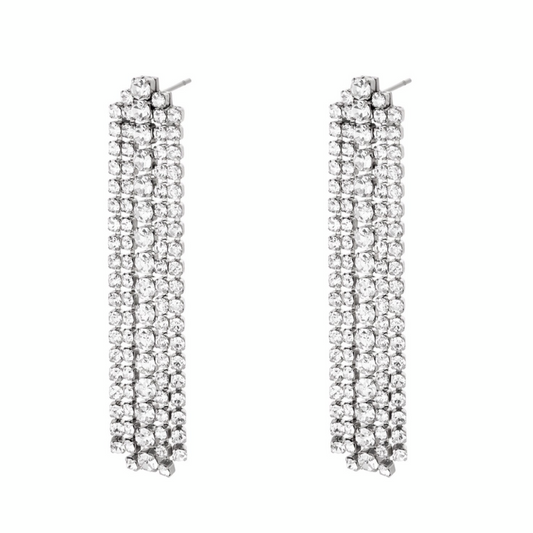 Sparkling  earrings zilver