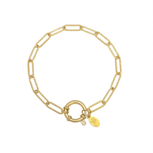 Schakel bracelet goud